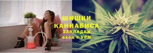 гашик Бронницы