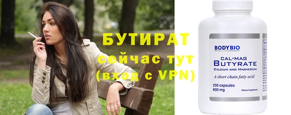 дмт Бородино