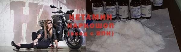 дмт Бородино