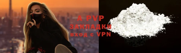 дмт Бородино