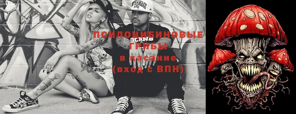 тгк Богданович