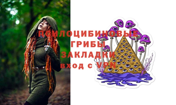 дмт Бородино
