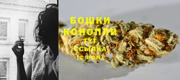 тгк Богданович