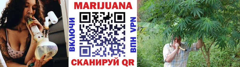 Марихуана план  как найти   Кузнецк 